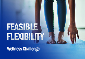 FEASIBLE FLEXIBILITY